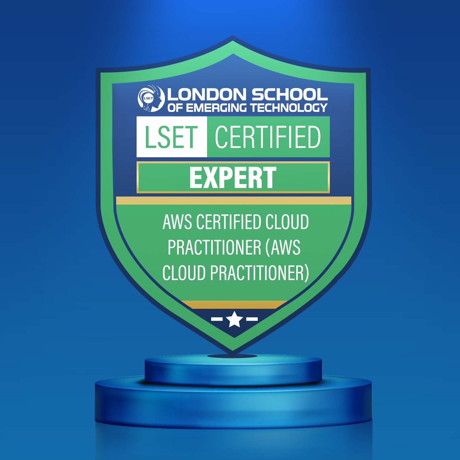 LSET Certified AWS Certified Cloud Practitioner (AWS Cloud Practitioner) (Expert)