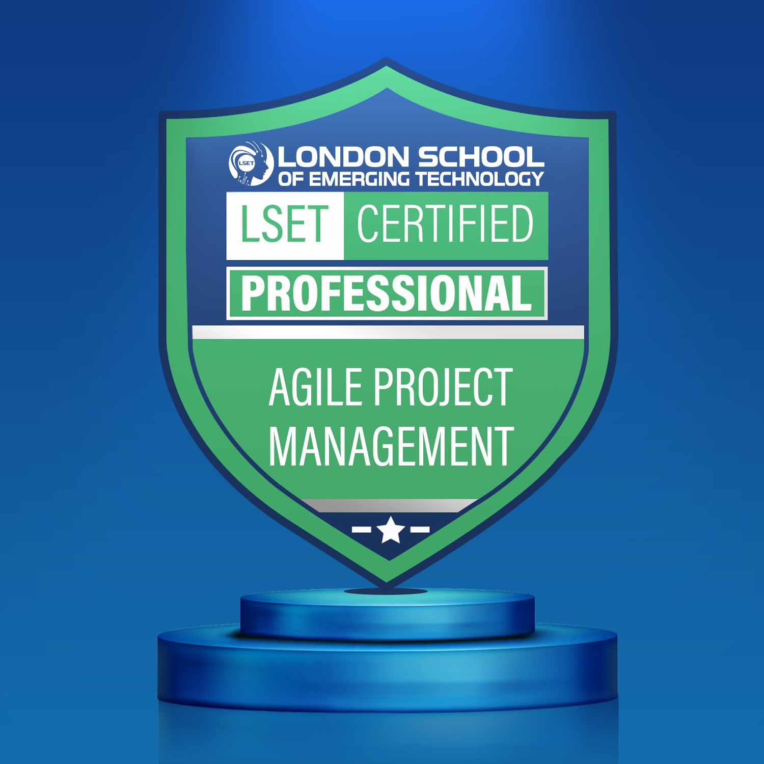 LSET Certified Agile Project Management (Professional)