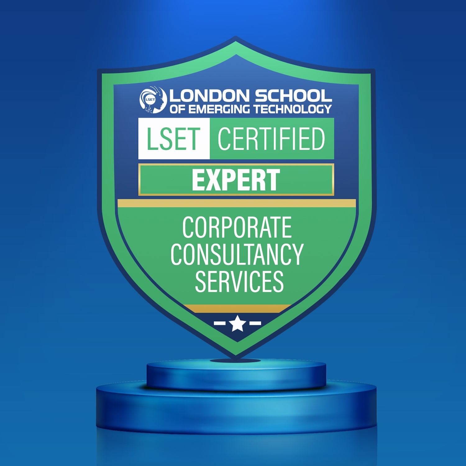 LSET Certified Corporate Consultancy Services (Expert)