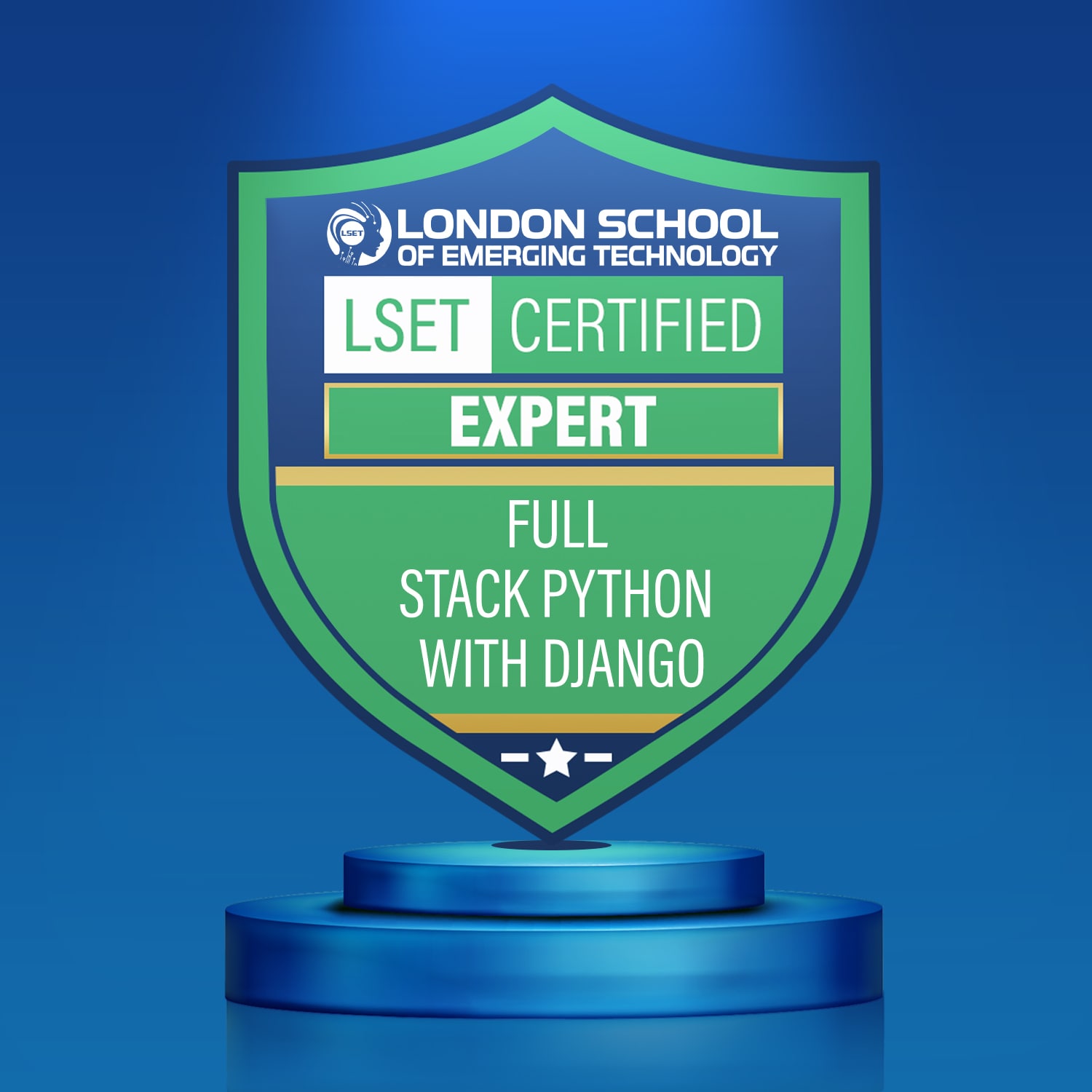 LSET Certified Full Stack Python with Django (Expert)